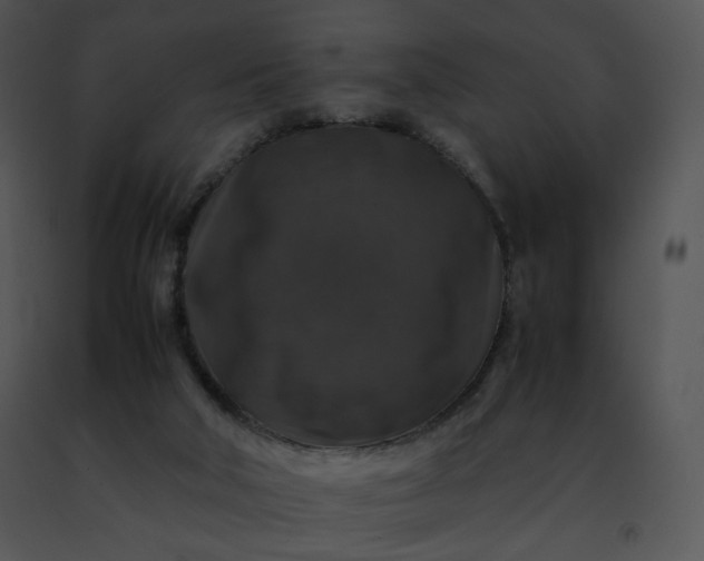 X0000091490018200708301945