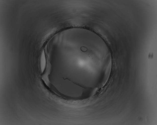 X0000091490019200708301945