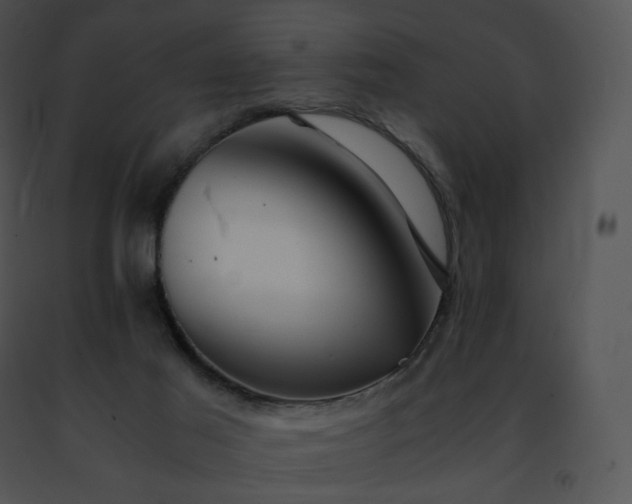 X0000091490021200708301945