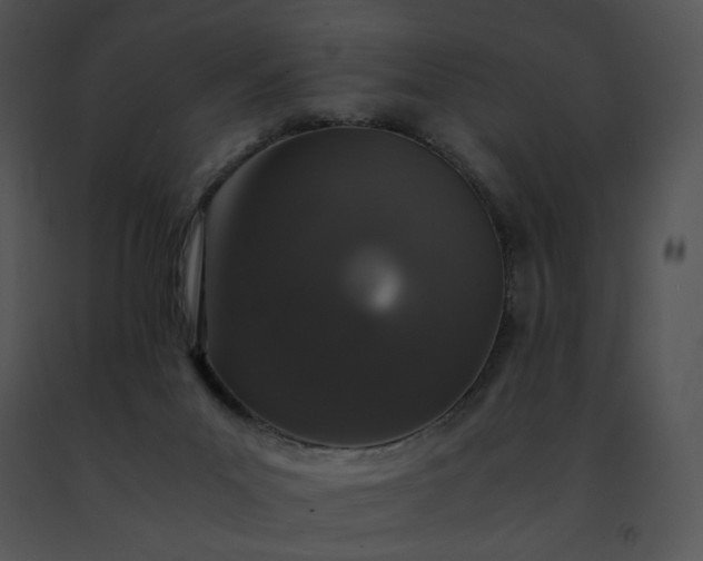 X0000091490023200708301945