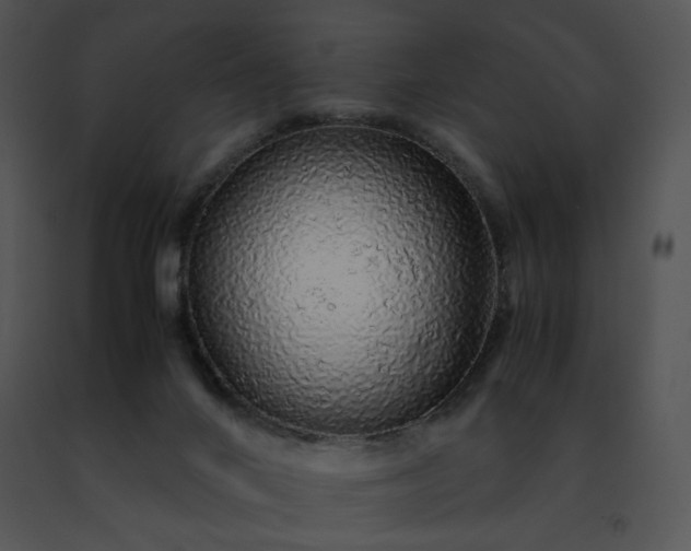 X0000091490024200708301945