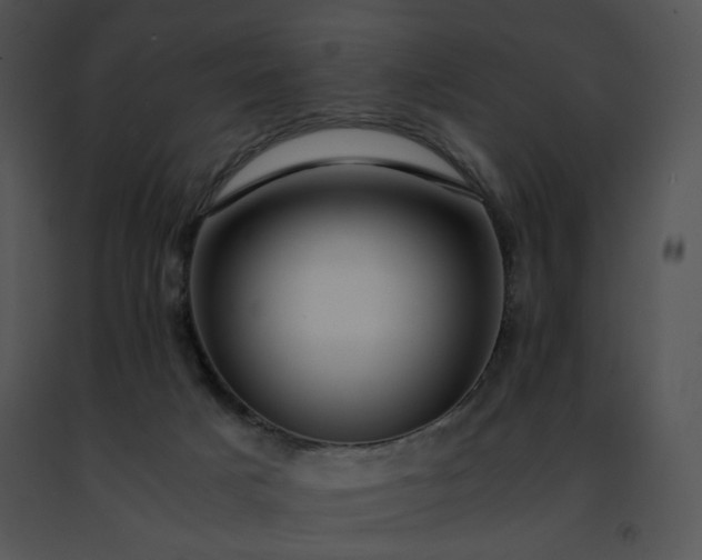 X0000091490025200708301945