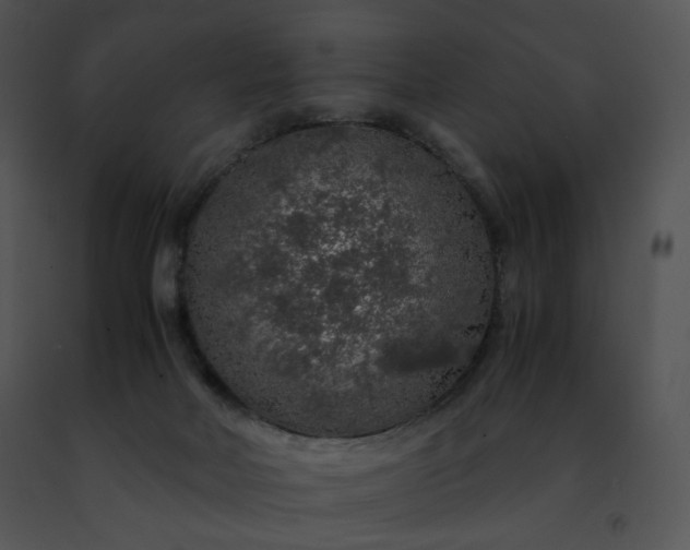 X0000091490026200708301945