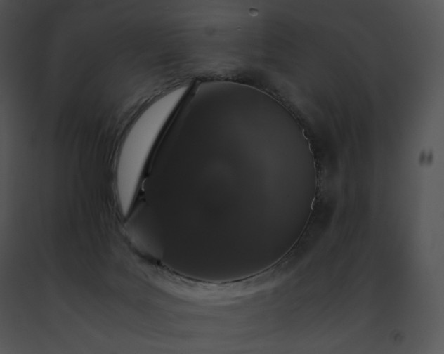 X0000091490027200708301945