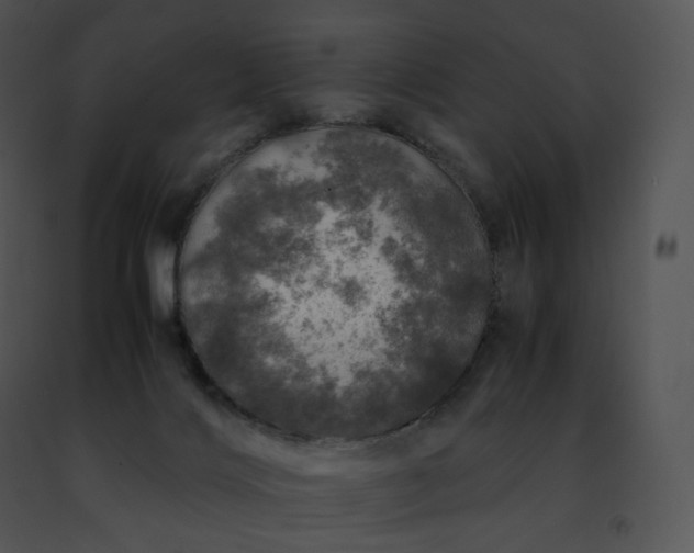 X0000091490028200708301945