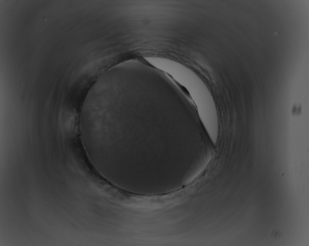 X0000091490029200708301945