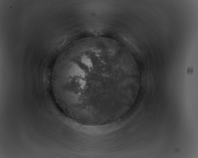 X0000091490030200708301945