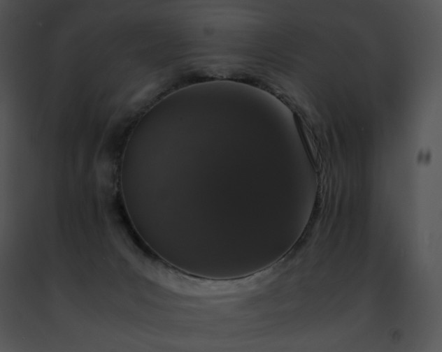 X0000091490031200708301945