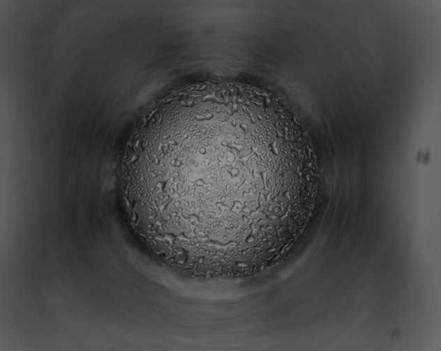 X0000091490032200708301945