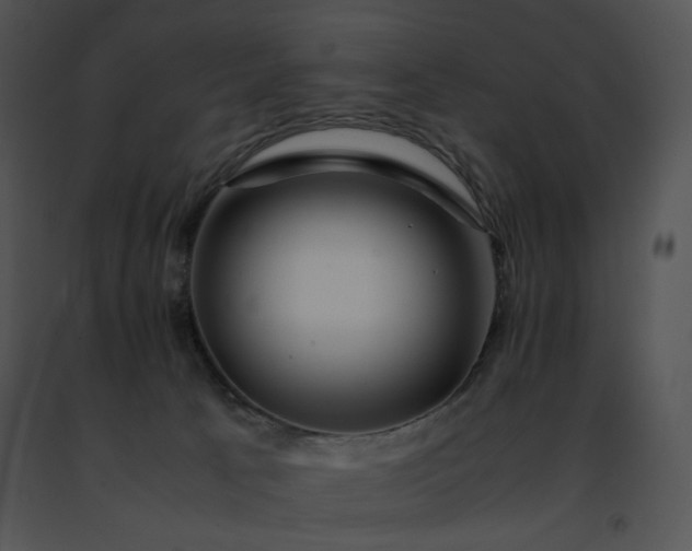 X0000091490033200708301945