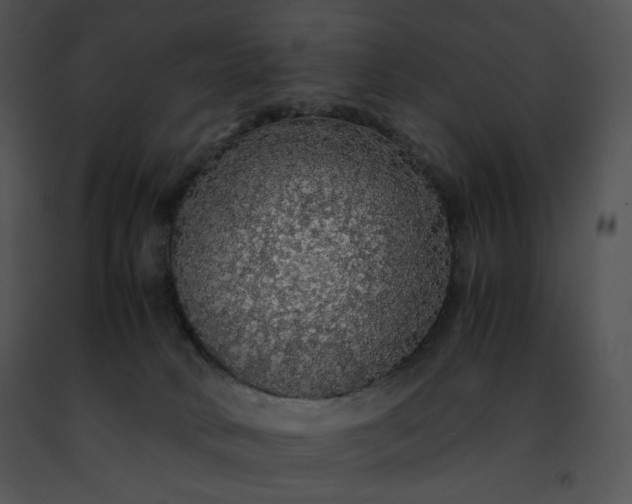 X0000091490034200708301945