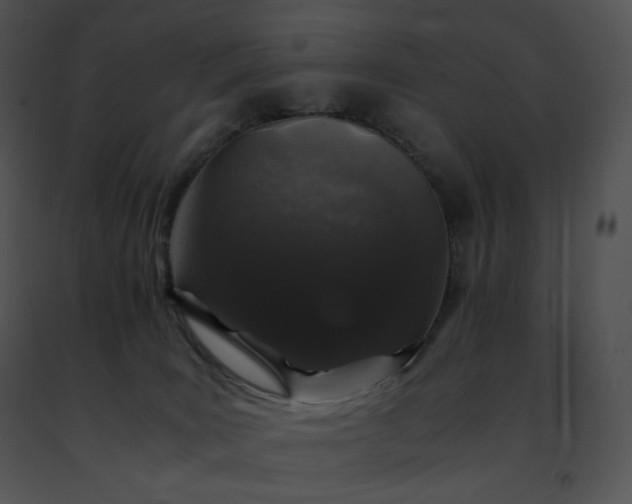 X0000091490035200708301945