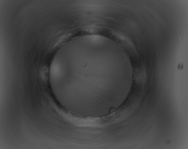 X0000091490036200708301945