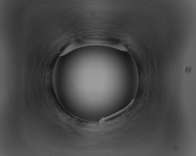 X0000091490037200708301945