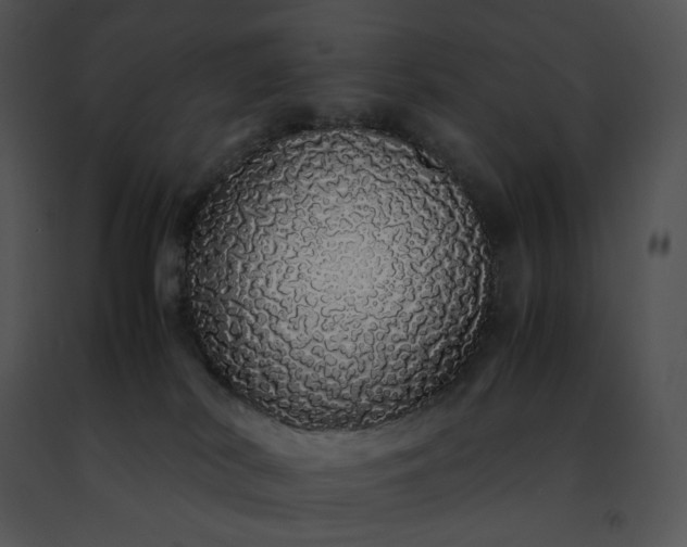 X0000091490038200708301945