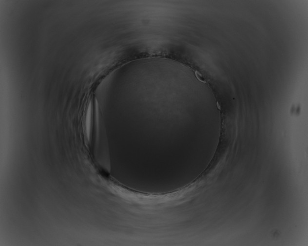 X0000091490039200708301945