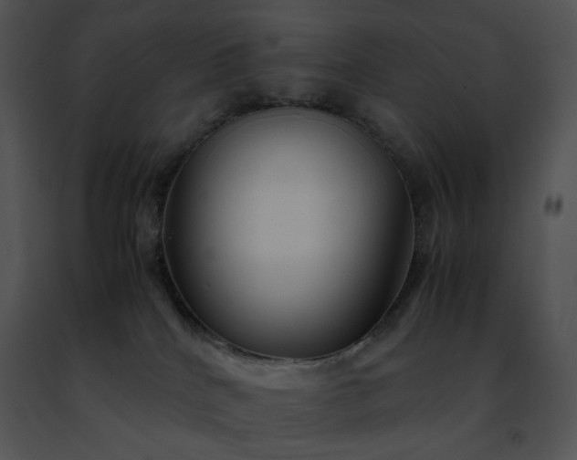 X0000091490040200708301945