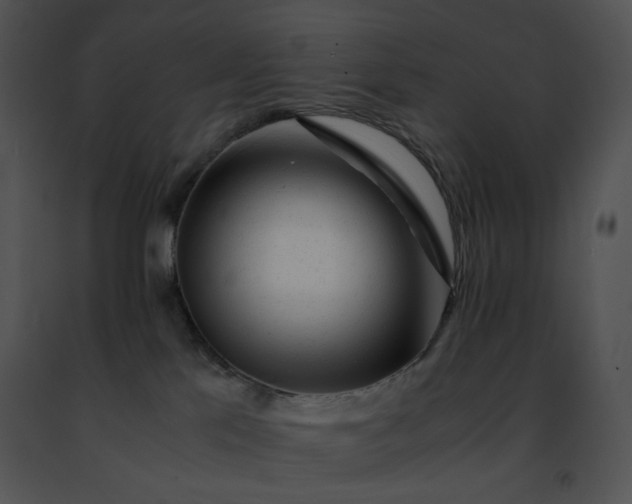 X0000091490041200708301945