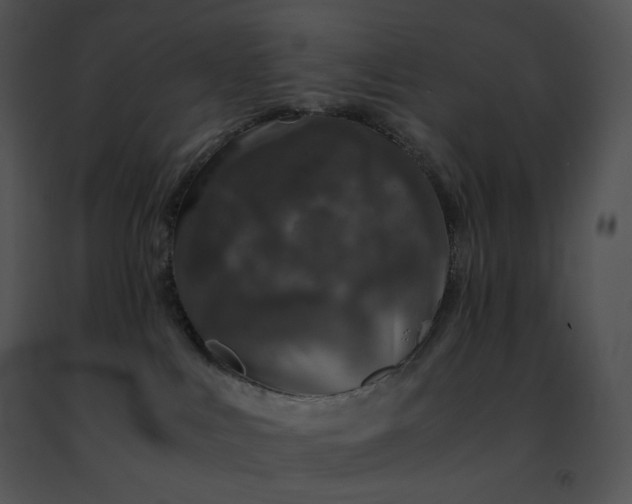 X0000091490043200708301945