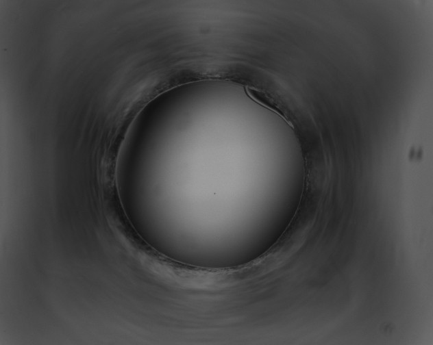 X0000091490044200708301945