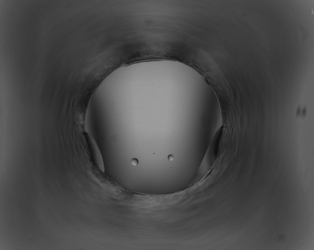 X0000091490045200708301945