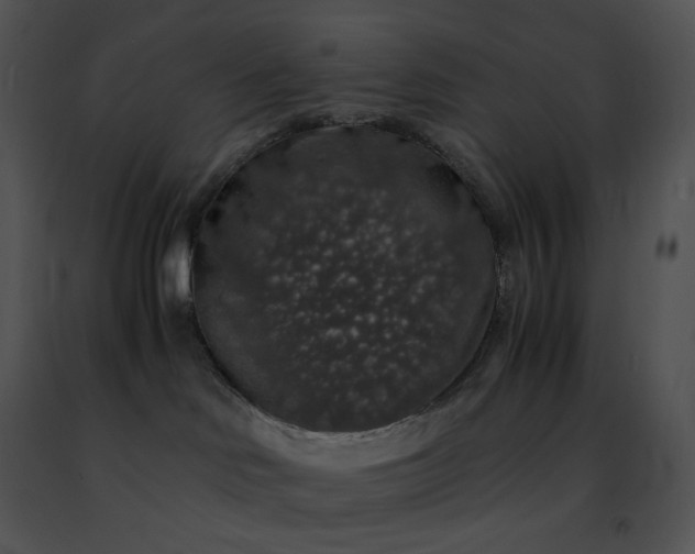 X0000091490046200708301945