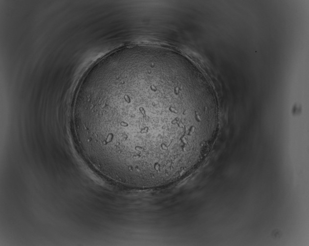 X0000091490049200708301944