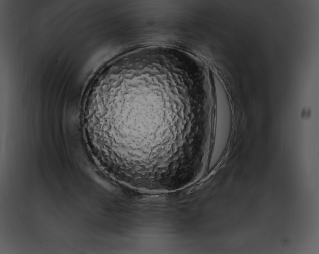 X0000091490050200708301944