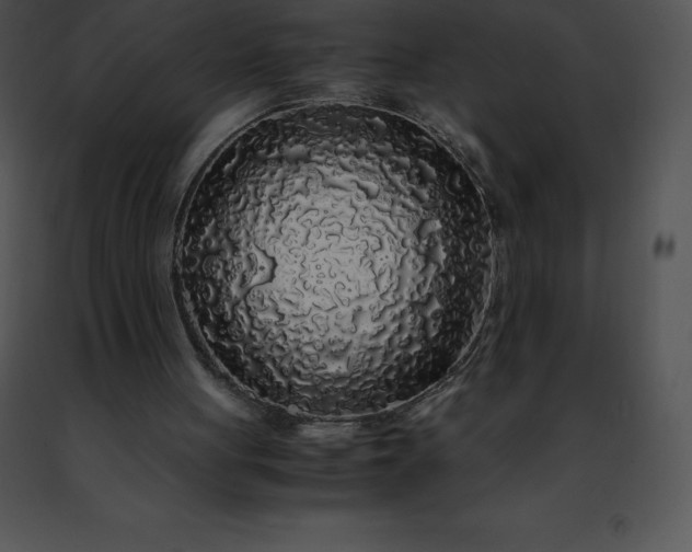 X0000091490051200708301944