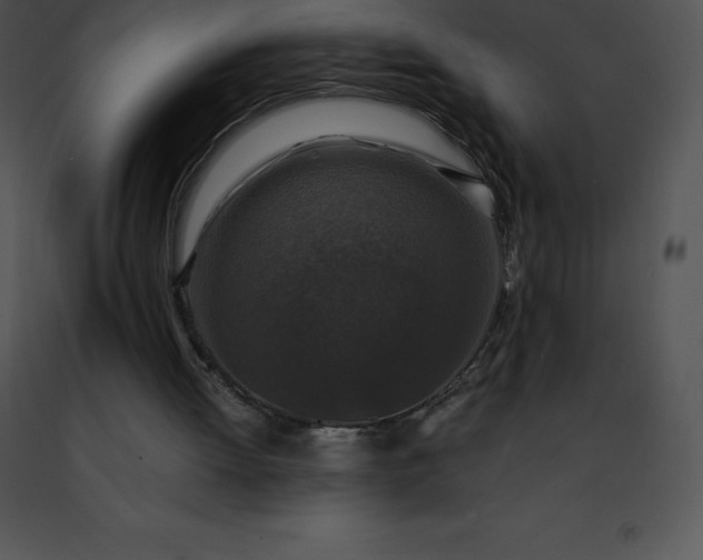 X0000091490052200708301944