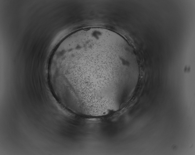 X0000091490053200708301944