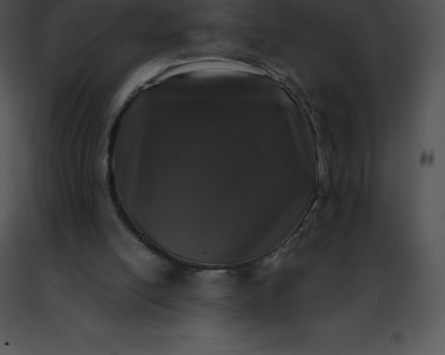 X0000091490054200708301944