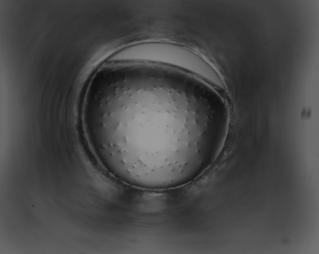 X0000091490055200708301944