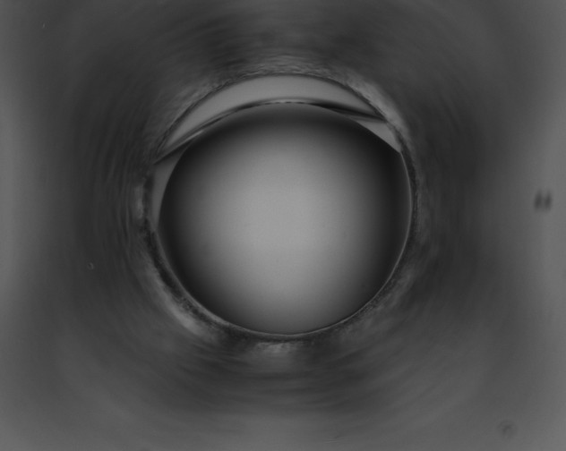 X0000091490057200708301944