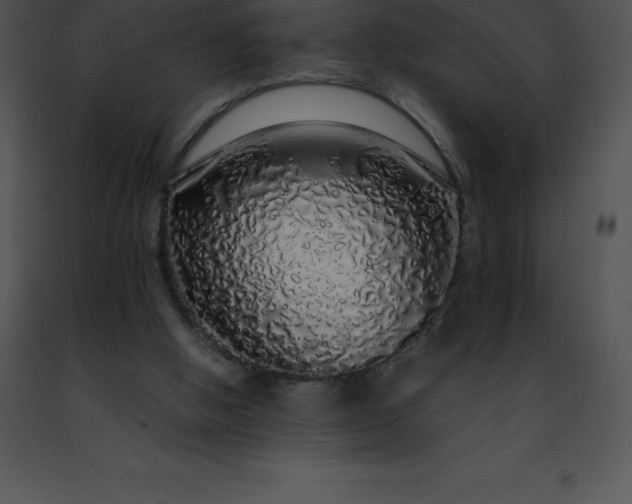 X0000091490058200708301944