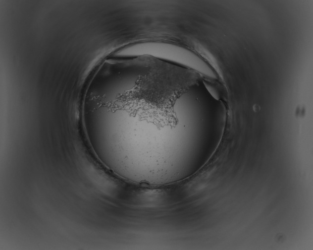 X0000091490059200708301944