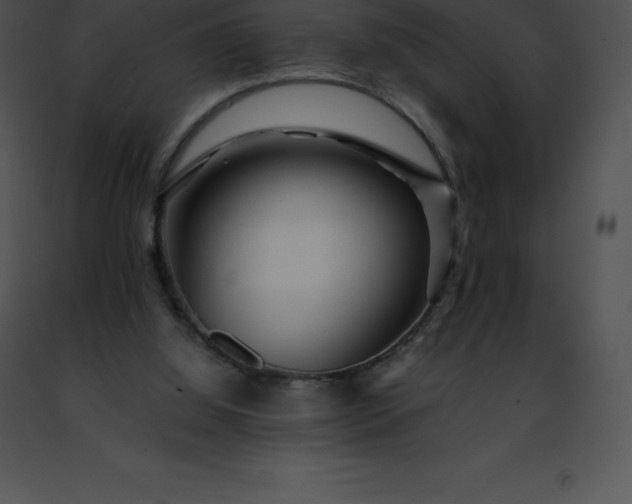 X0000091490060200708301944