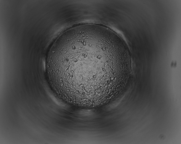 X0000091490061200708301944