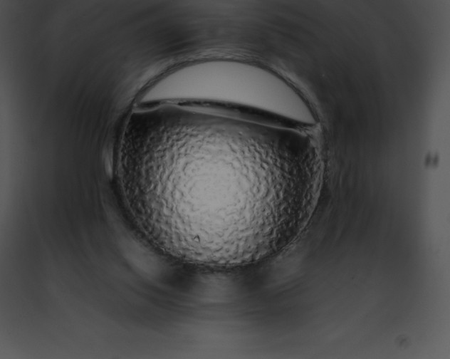 X0000091490062200708301944