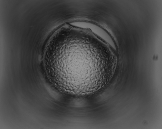 X0000091490063200708301944