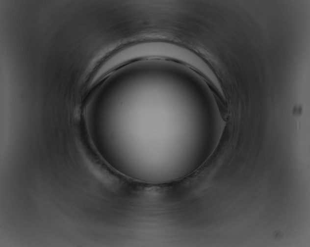 X0000091490064200708301944