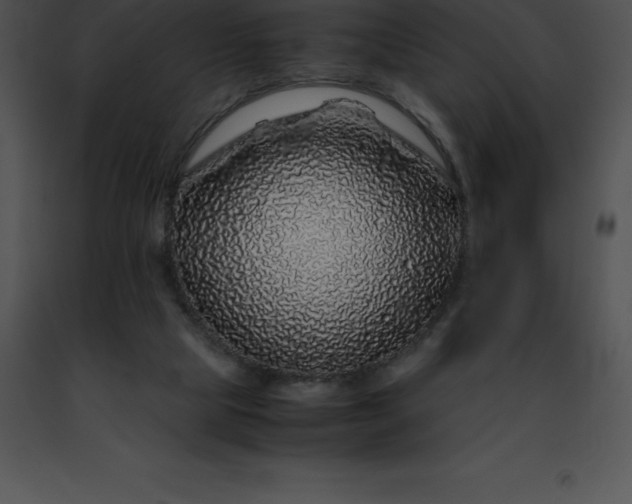 X0000091490065200708301944