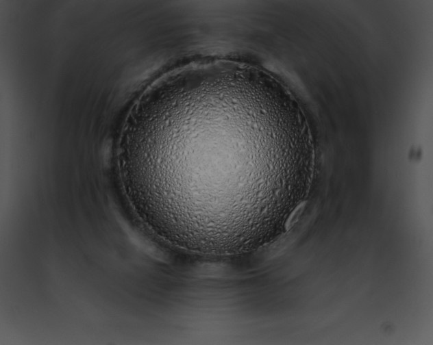 X0000091490066200708301944