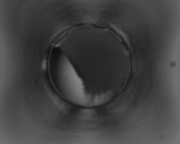 X0000091490067200708301944