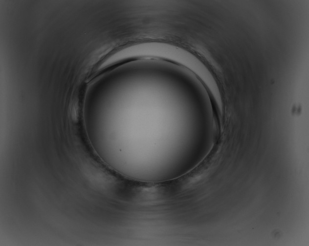 X0000091490068200708301944