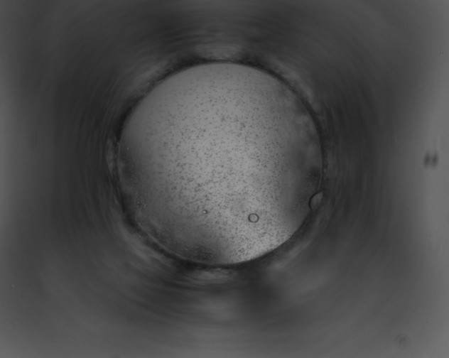 X0000091490069200708301944