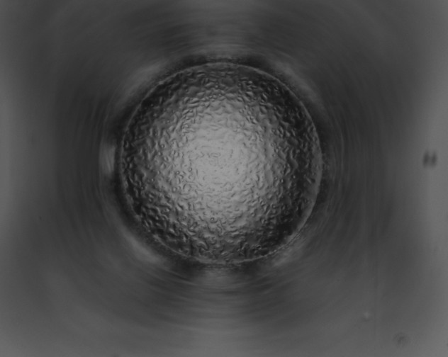 X0000091490070200708301944