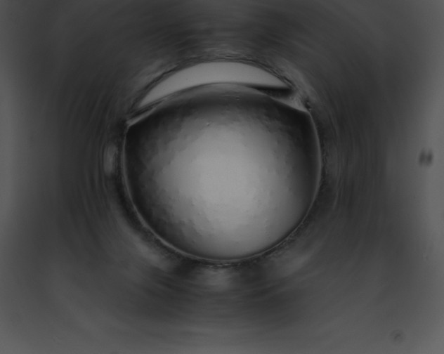 X0000091490071200708301944