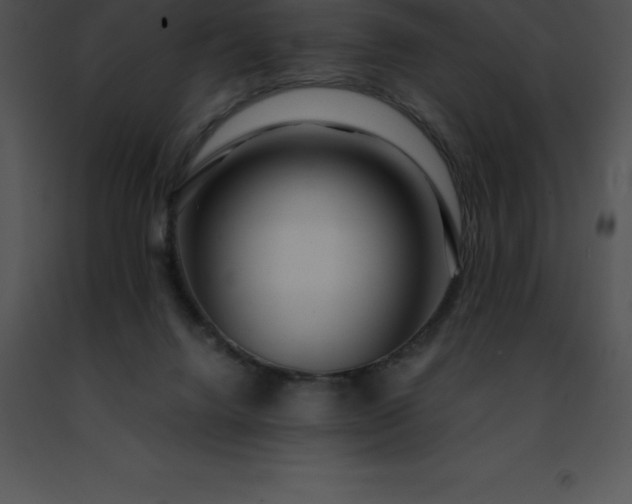 X0000091490072200708301944