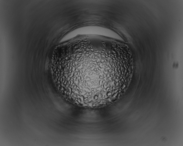 X0000091490073200708301944